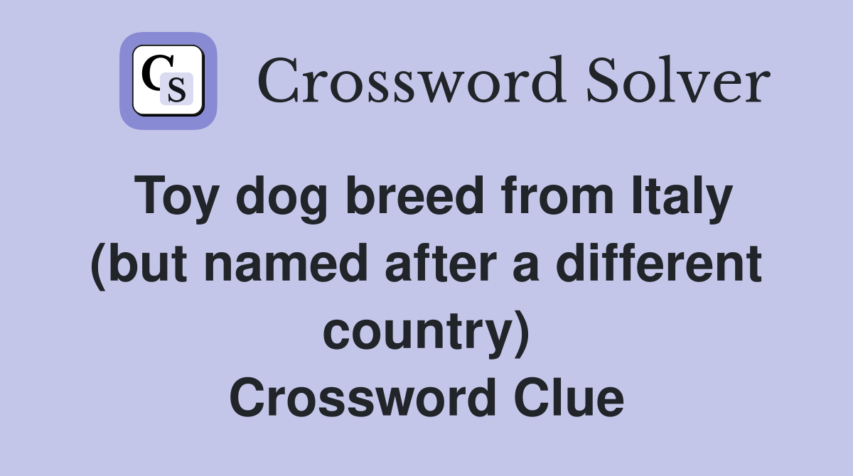 Toy dog breed from Italy (but named after a different country